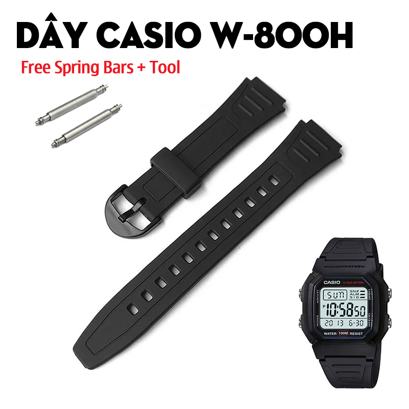 Dây Casio W-800H – Digital Cỡ Lớn Và Các Lựa Chọn Thay Thế