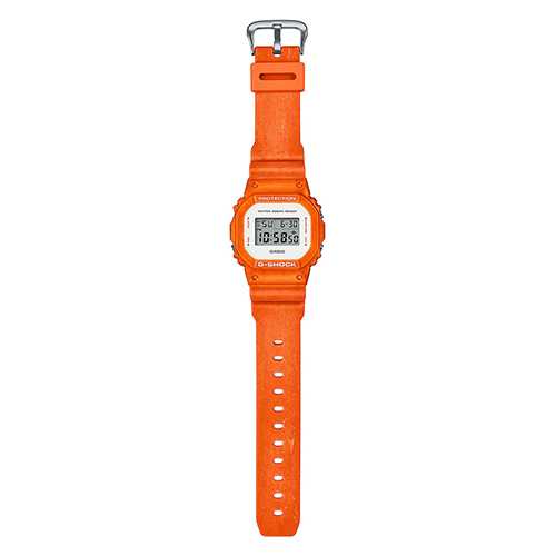 DW-5600WS-4DR
