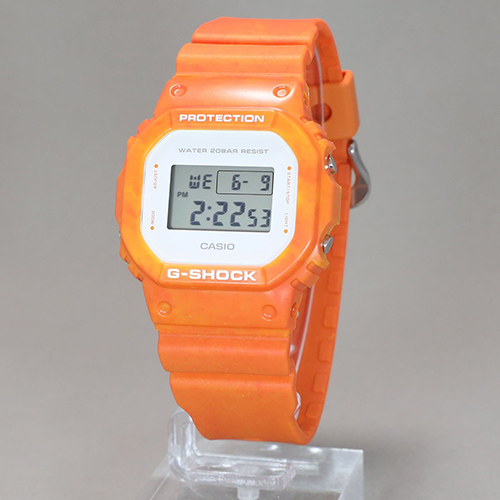 DW-5600WS-4DR