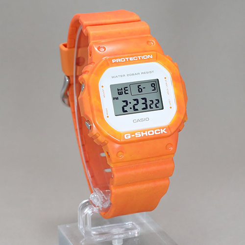 DW-5600WS-4DR