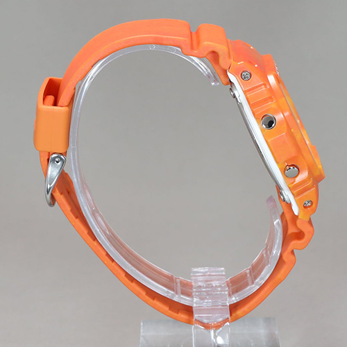 DW-5600WS-4DR