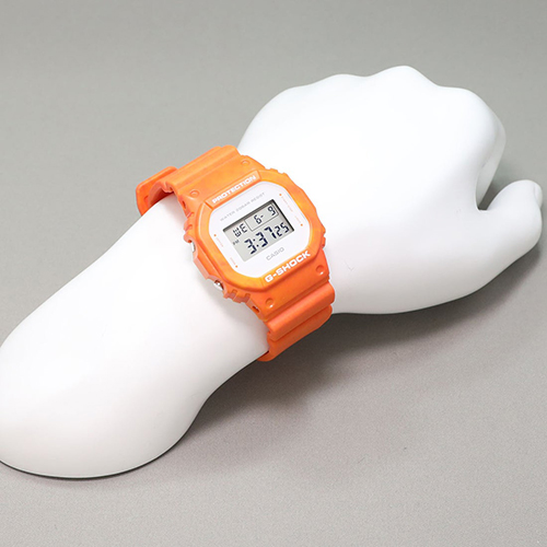 DW-5600WS-4DR