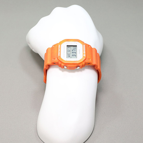 DW-5600WS-4DR