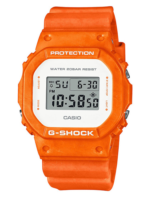 DW-5600WS-4DR
