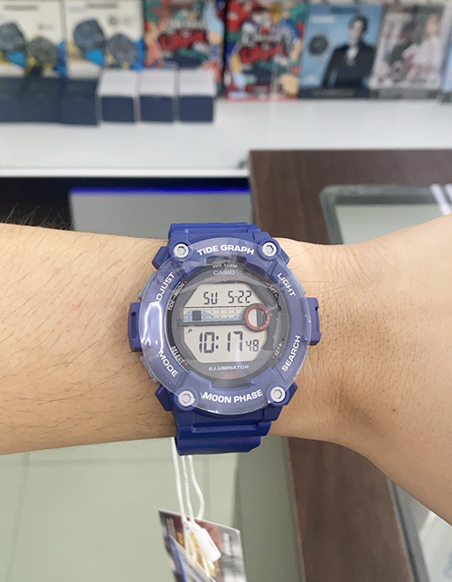 WS-1300H-2AVDF